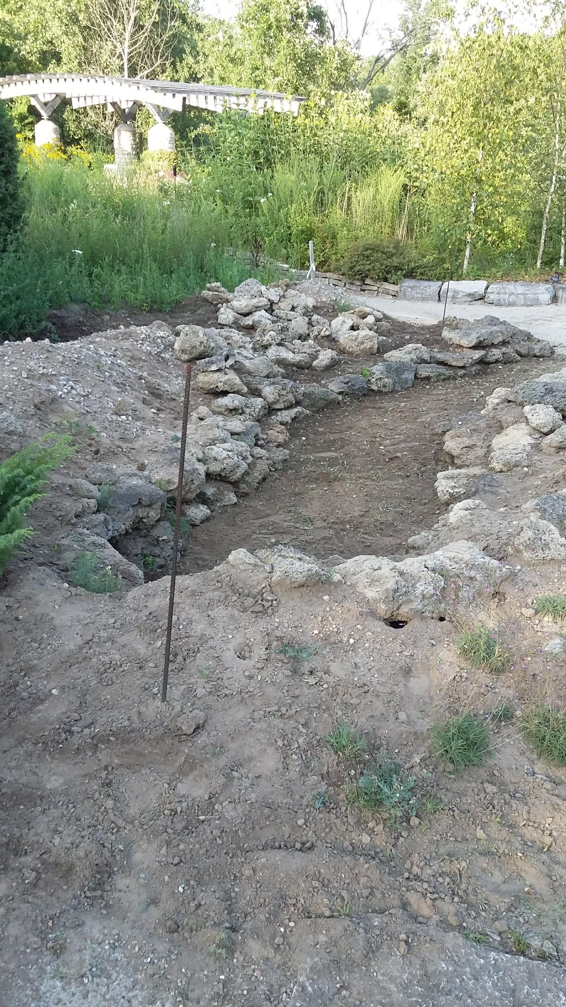 Azary Garden after weeding