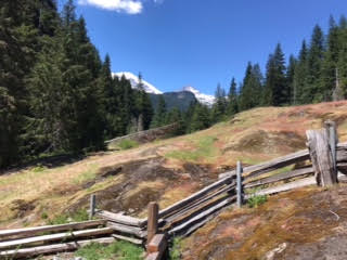 Mt. Rainier, July 20
