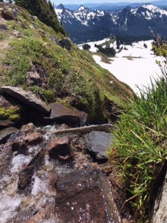 Mt. Rainier, July 20